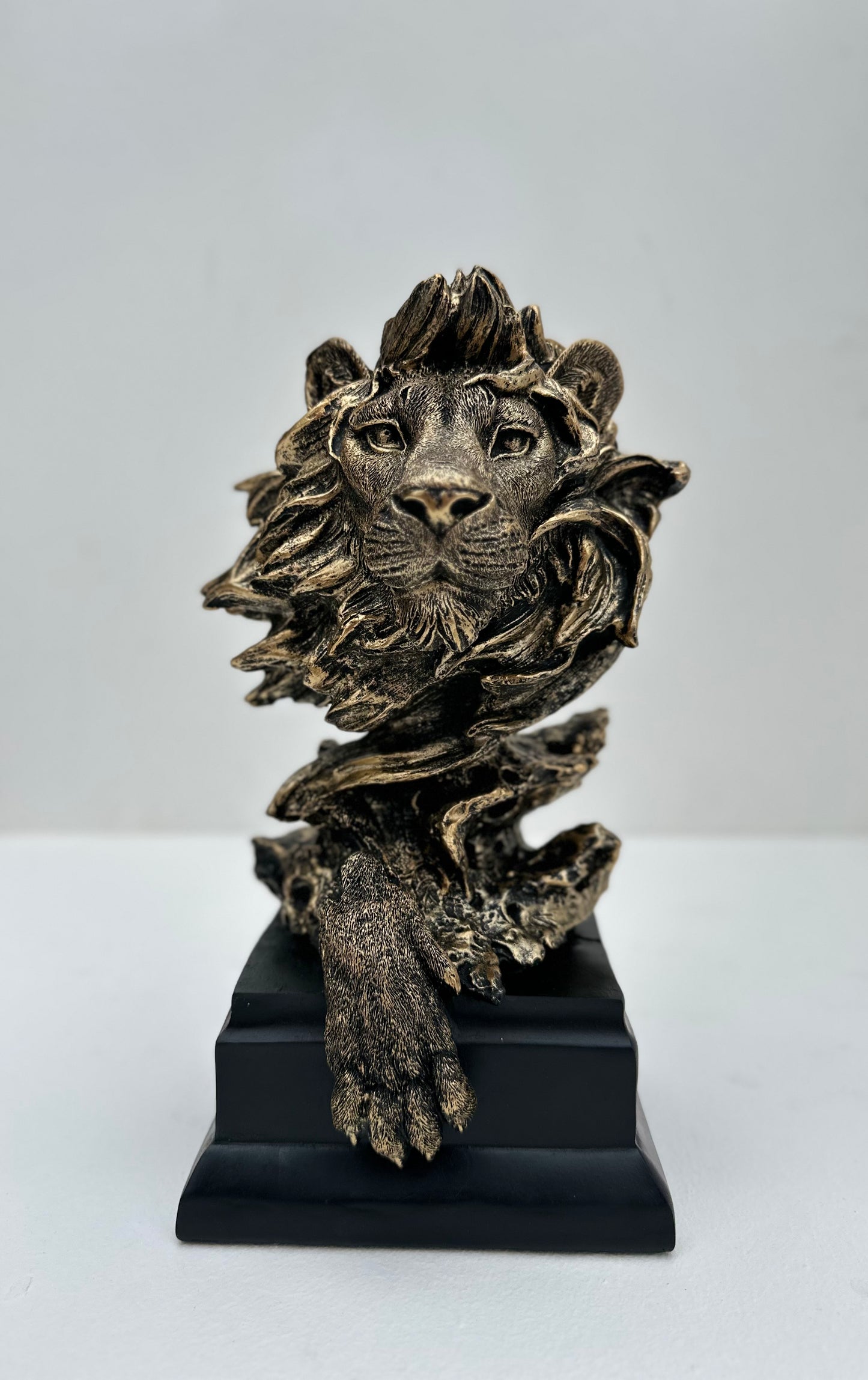 Lion statue